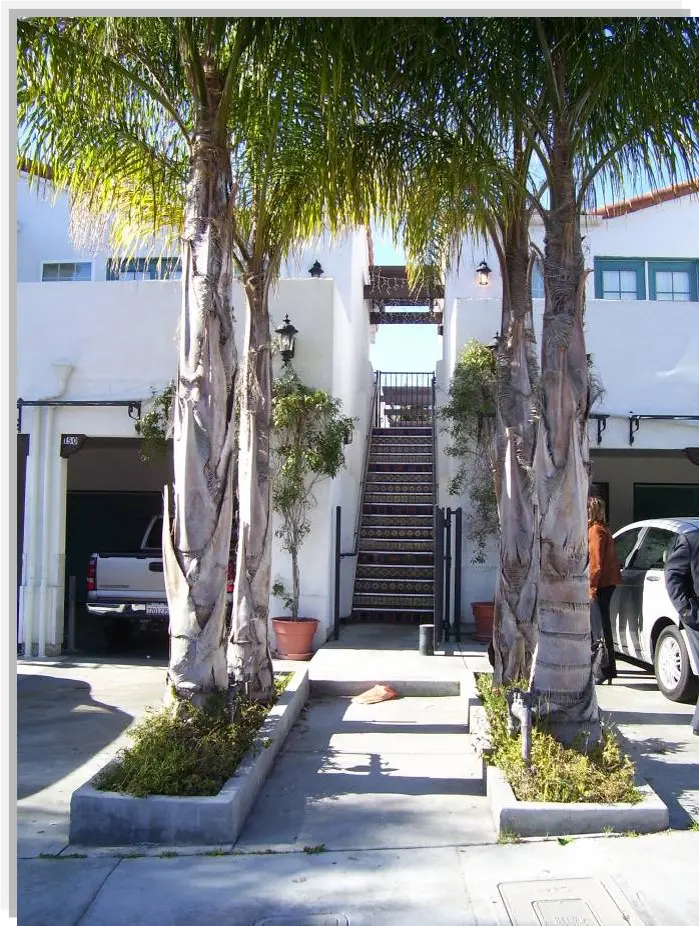 front stairs dividing two white buildings